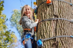 Kids Tree Climber Rock Wall Backyard