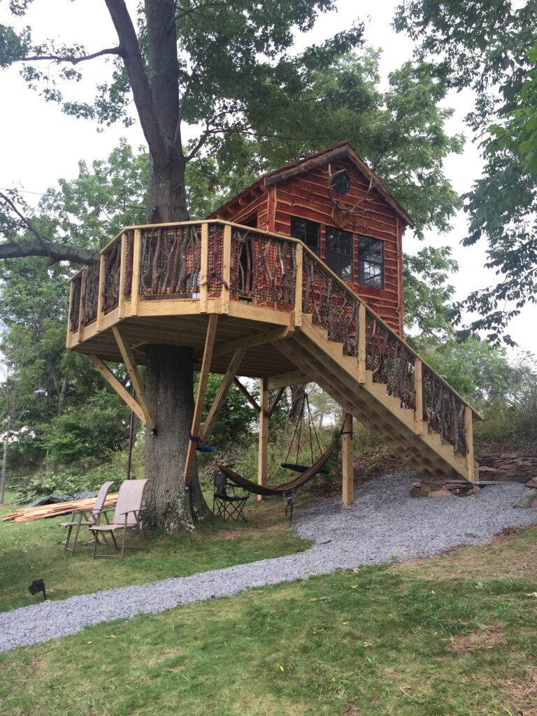5 - New Jersey Treehouse
