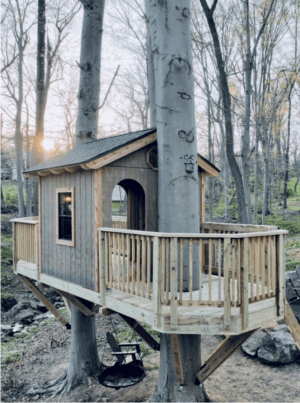1 - Pennsylvania Treehouse