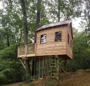 2 - New Jersey Treehouse