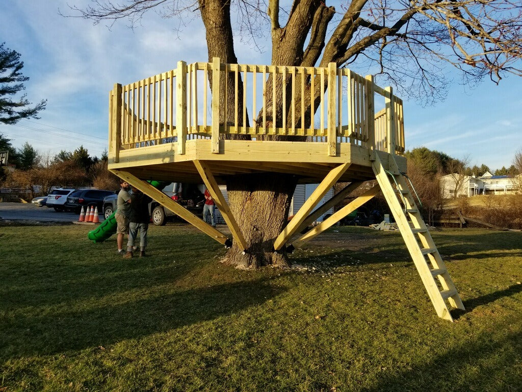 1 - Maryland Treehouse Platform